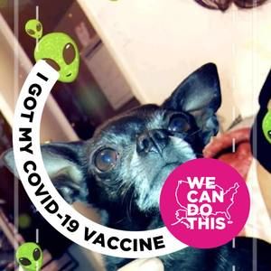 Meet your Posher, Avalos